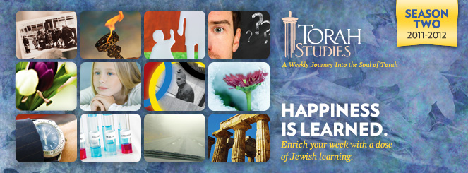 Torah Studies