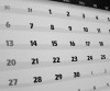 Program Schedule